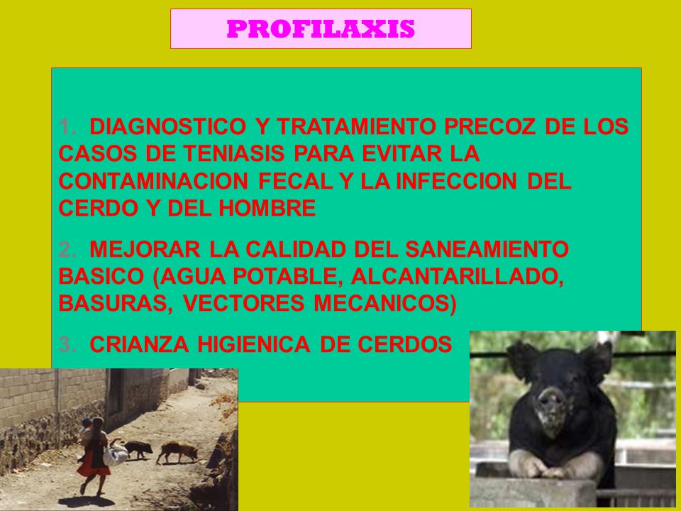 PROFILAXIS 1. DIAGNOSTICO Y TRATAMIENTO PRECOZ DE LOS CASOS DE TENIASIS PARA EVITAR LA CONTAMINACION FECAL Y LA INFECCION DEL CERDO Y DEL HOMBRE.