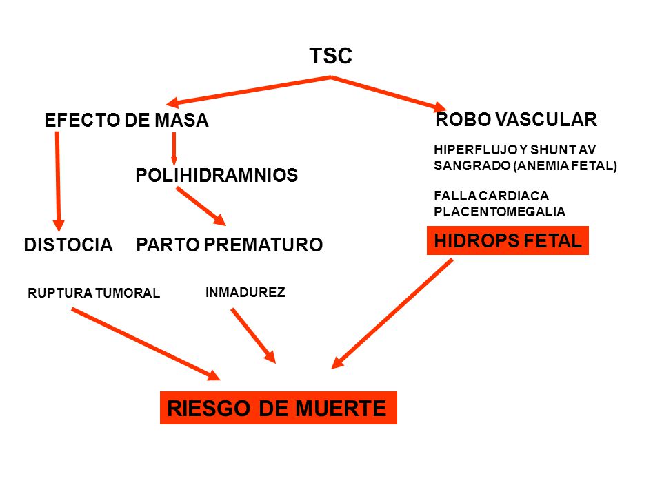 TSC RIESGO DE MUERTE EFECTO DE MASA ROBO VASCULAR POLIHIDRAMNIOS