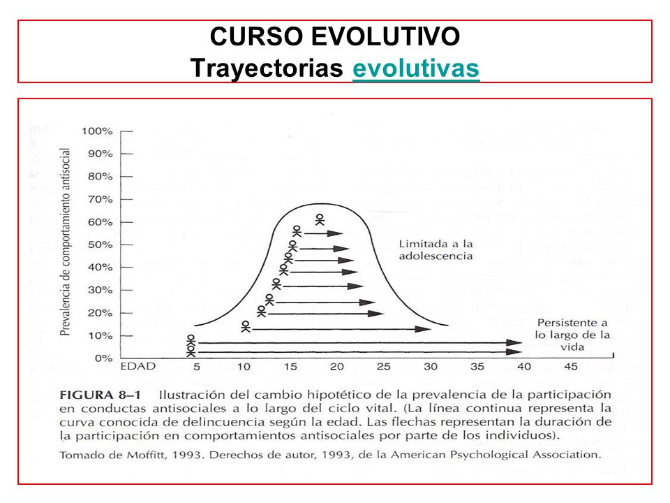 CURSO EVOLUTIVO Trayectorias evolutivas