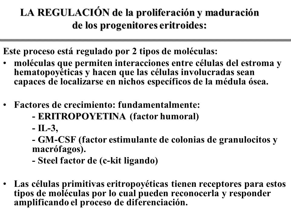 LA REGULACIÓN de la proliferación y maduración de los progenitores eritroides: