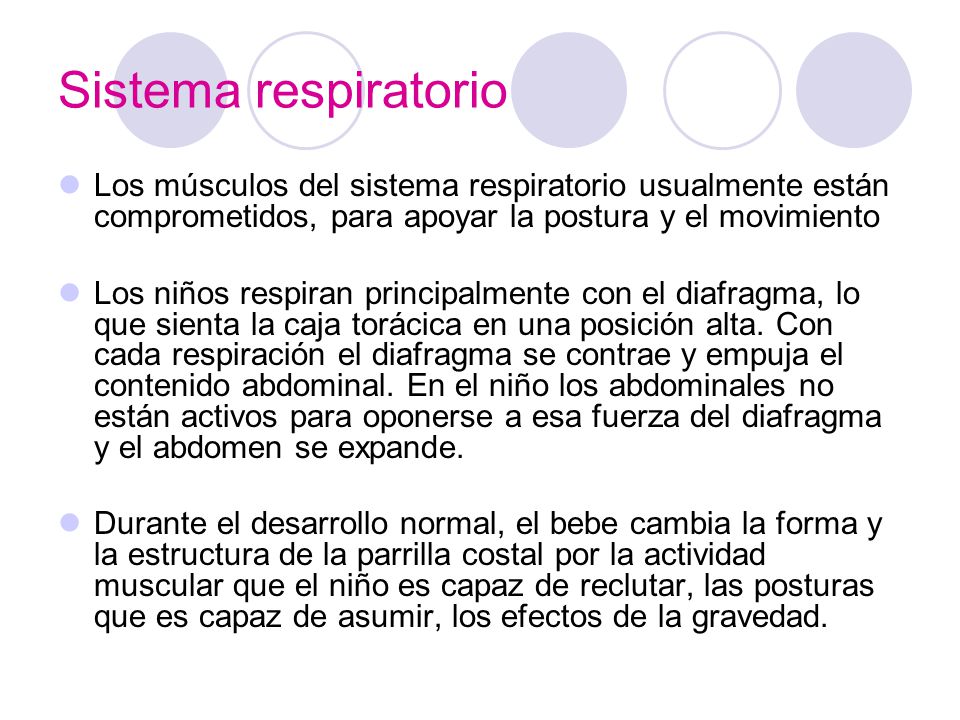 Sistema respiratorio Los músculos del sistema respiratorio usualmente están comprometidos, para apoyar la postura y el movimiento.