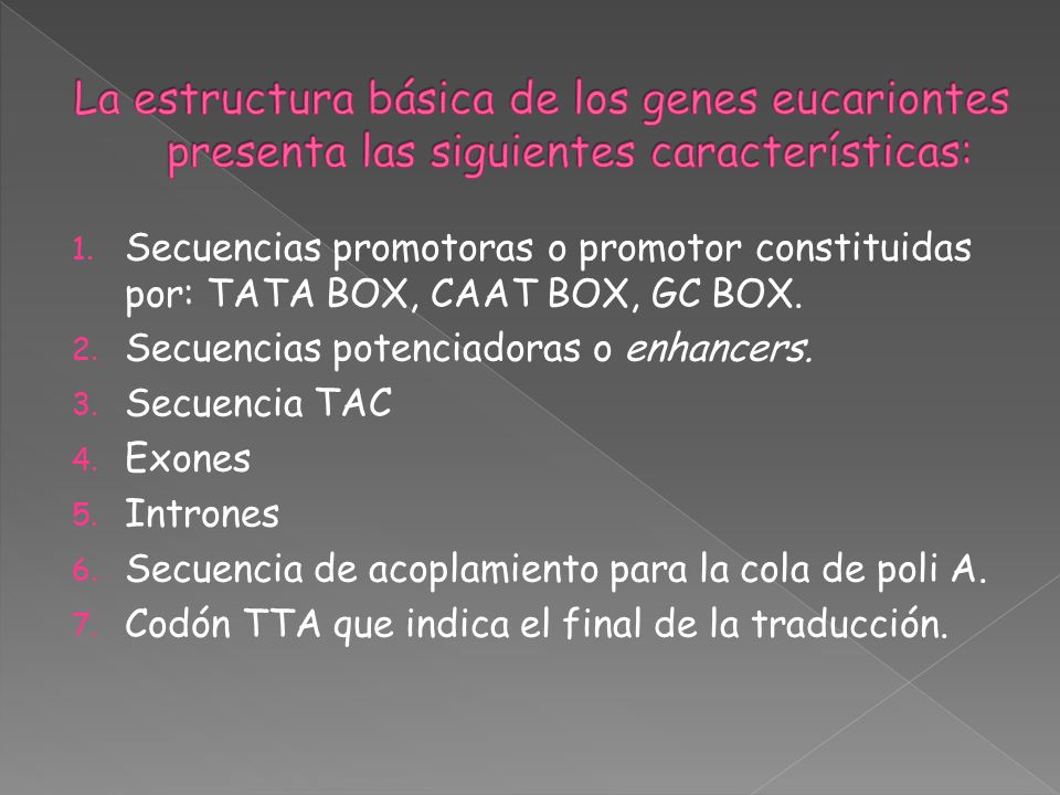 La estructura básica de los genes eucariontes presenta las siguientes características: