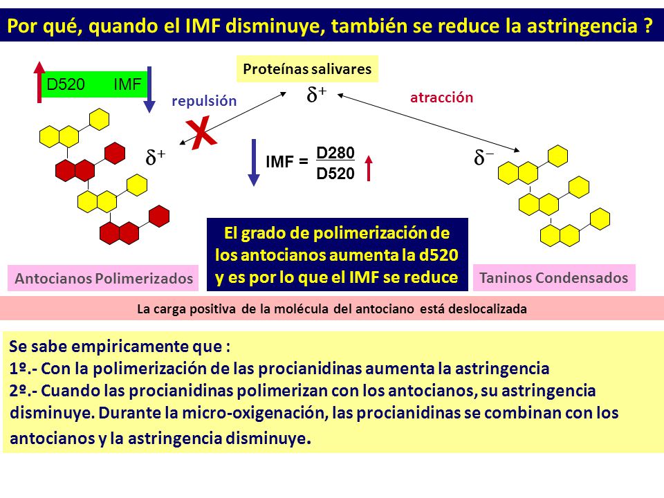 Por qué, quando el IMF disminuye, también se reduce la astringencia