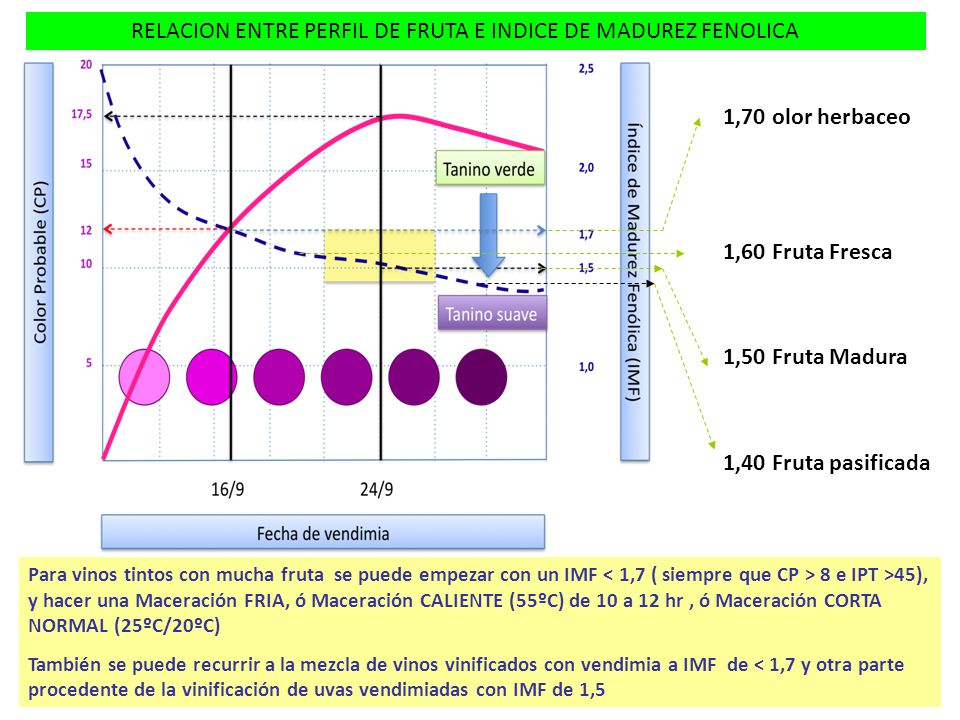RELACION ENTRE PERFIL DE FRUTA E INDICE DE MADUREZ FENOLICA
