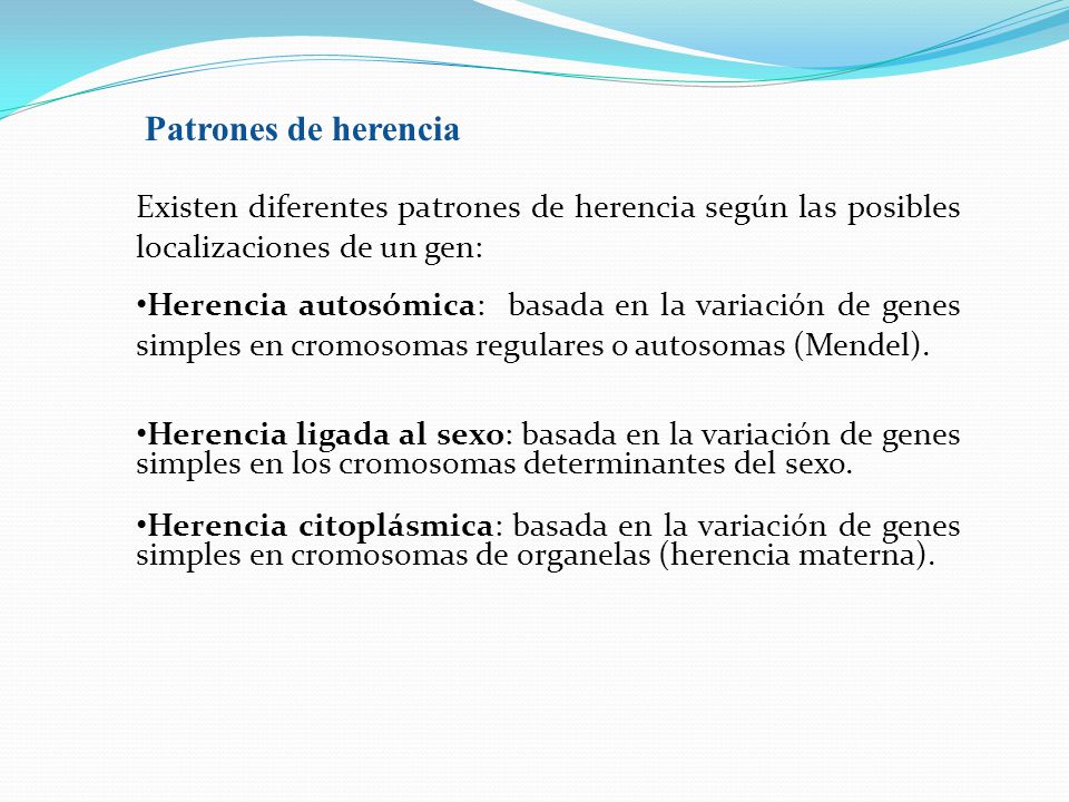Patrones de herencia Existen diferentes patrones de herencia según las posibles localizaciones de un gen: