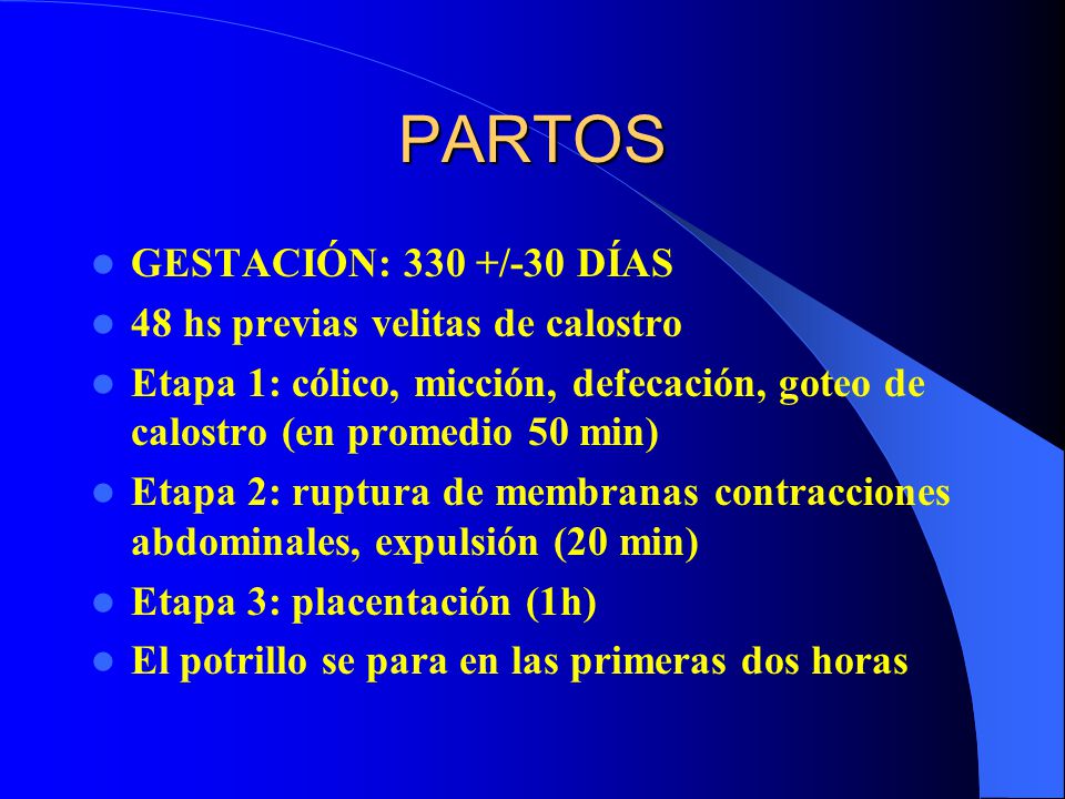 PARTOS GESTACIÓN: 330 +/-30 DÍAS 48 hs previas velitas de calostro
