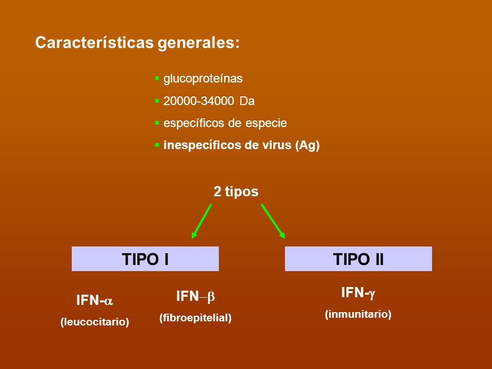 Características generales: