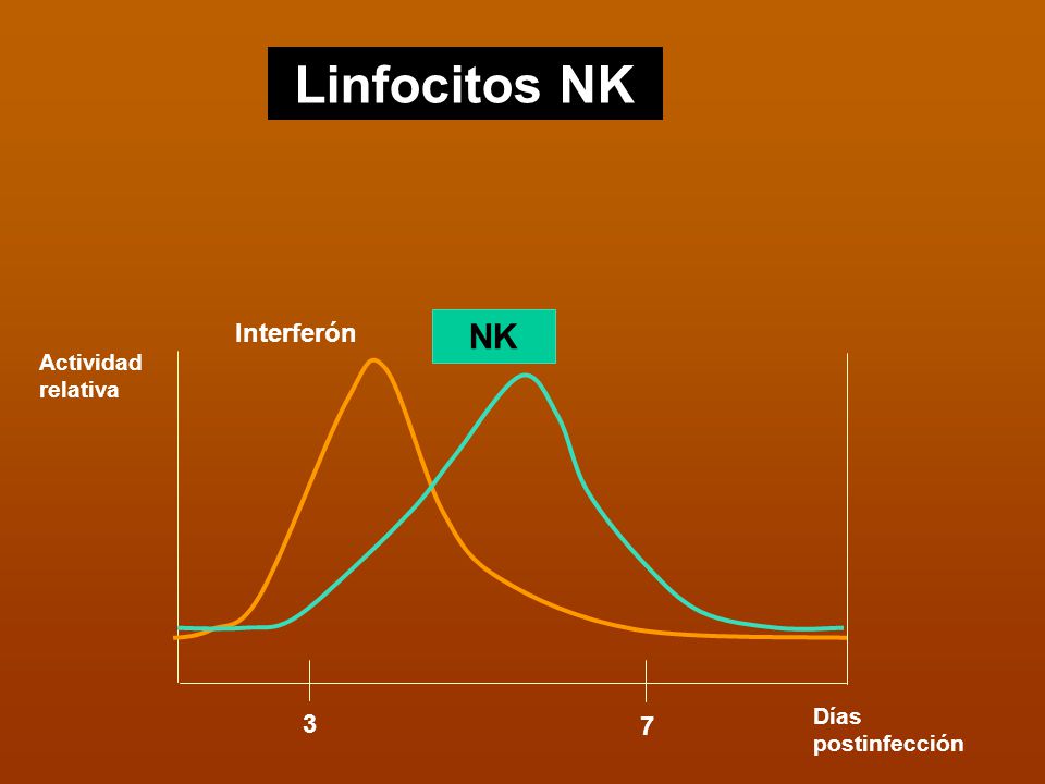 Linfocitos NK Interferón NK Actividad relativa 3 Días postinfección 7