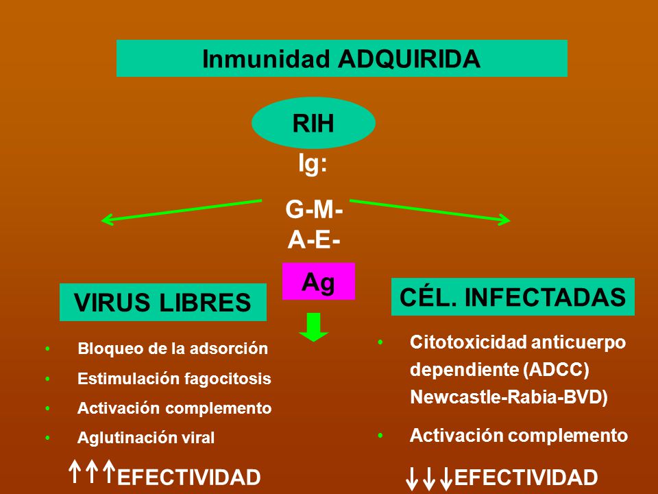 Inmunidad ADQUIRIDA RIH Ig: G-M-A-E- Ag CÉL. INFECTADAS VIRUS LIBRES