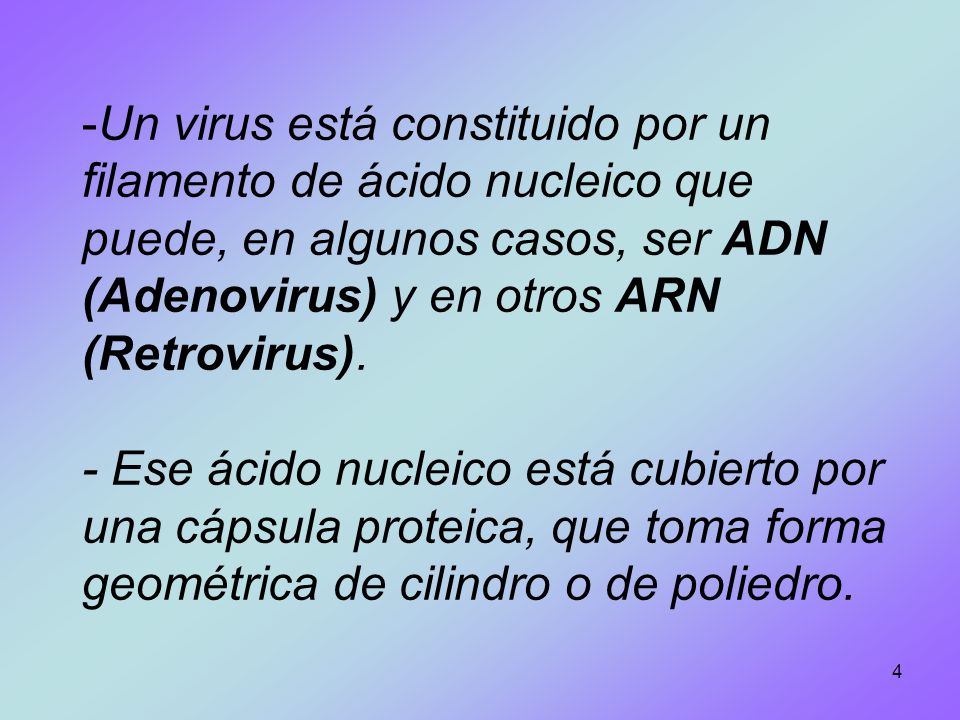 Un virus está constituido por un filamento de ácido nucleico que puede, en algunos casos, ser ADN (Adenovirus) y en otros ARN (Retrovirus).