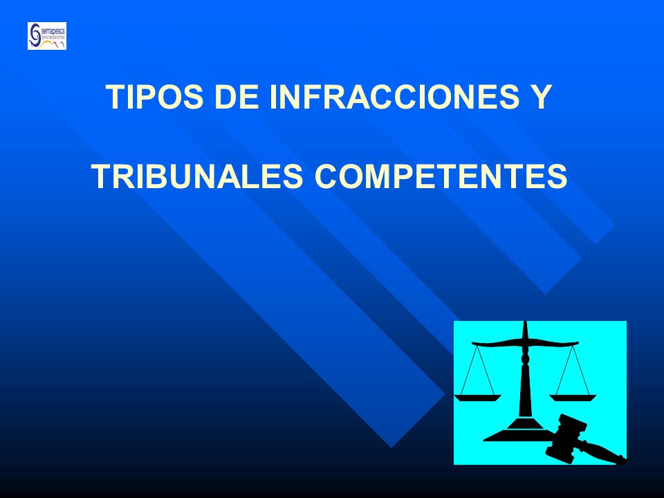 TIPOS DE INFRACCIONES Y TRIBUNALES COMPETENTES