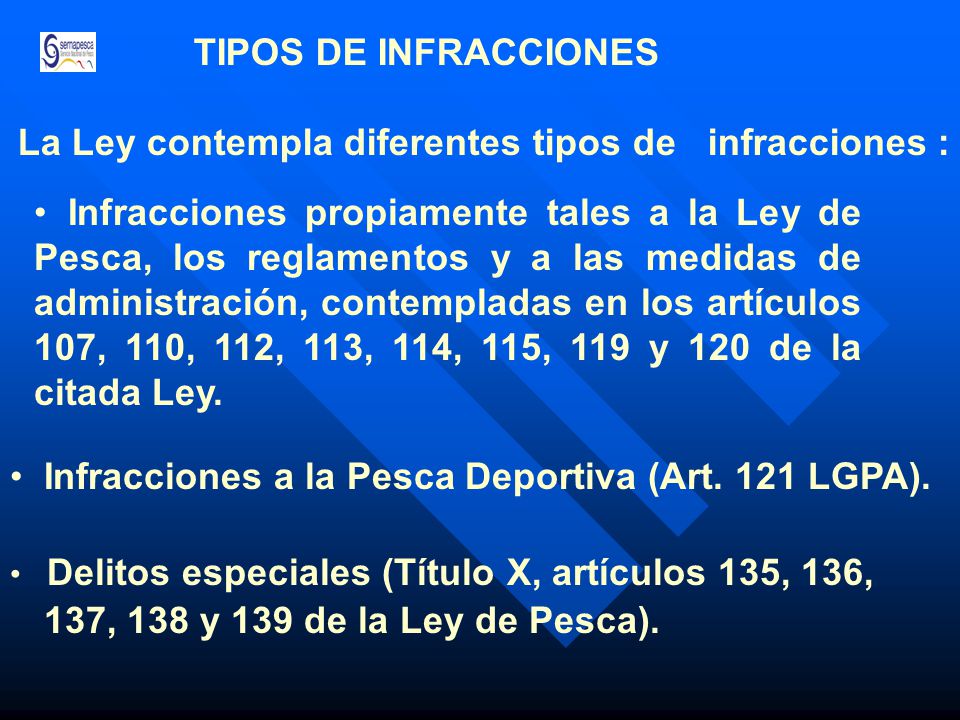 La Ley contempla diferentes tipos de infracciones :