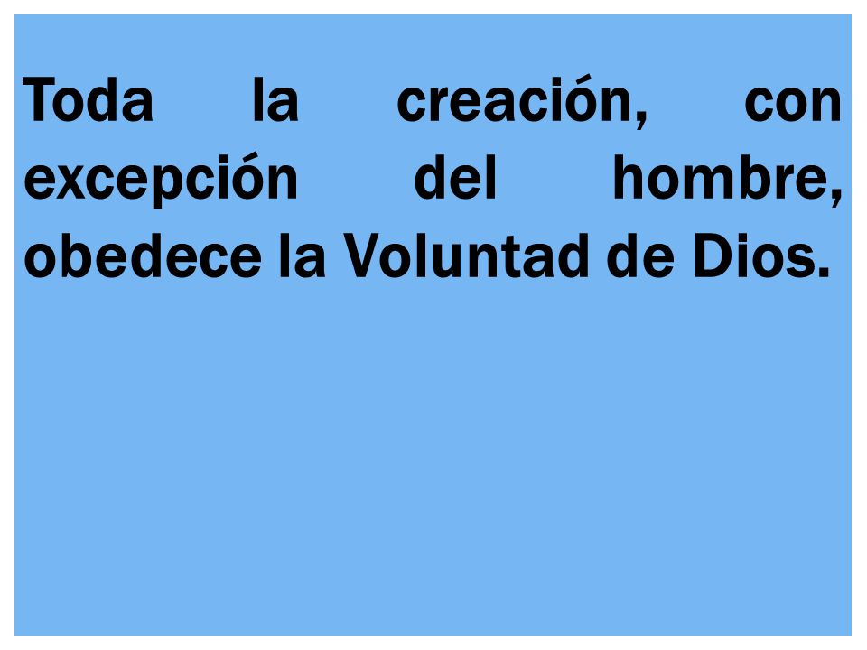 Toda la creación, con excepción del hombre, obedece la Voluntad de Dios.