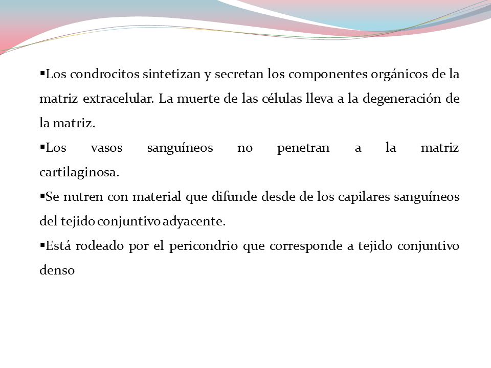 Los condrocitos sintetizan y secretan los componentes orgánicos de la matriz extracelular. La muerte de las células lleva a la degeneración de la matriz.