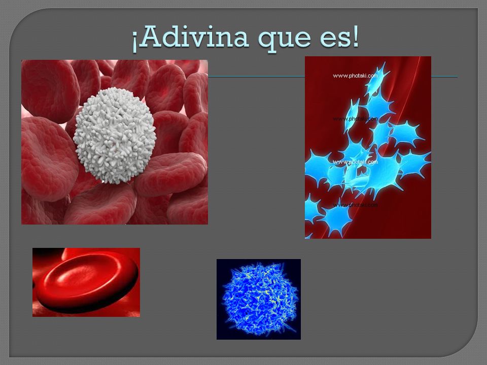 ¡Adivina que es!