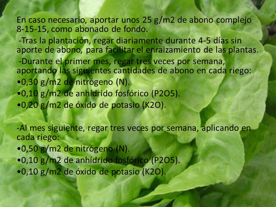 En caso necesario, aportar unos 25 g/m2 de abono complejo , como abonado de fondo.