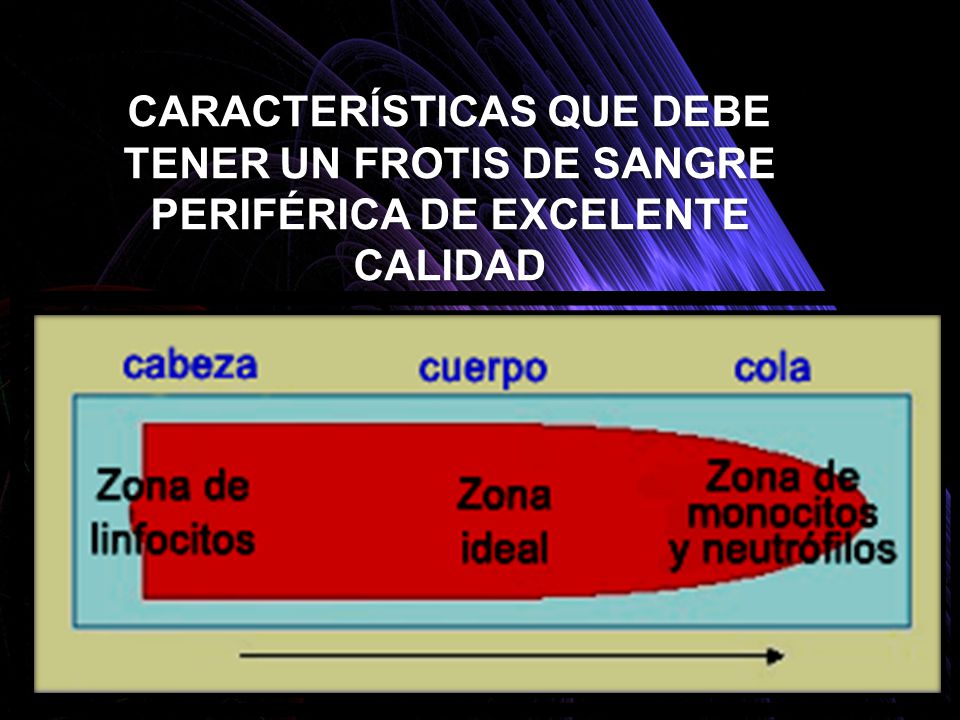 CARACTERÍSTICAS QUE DEBE TENER UN FROTIS DE SANGRE PERIFÉRICA DE EXCELENTE CALIDAD