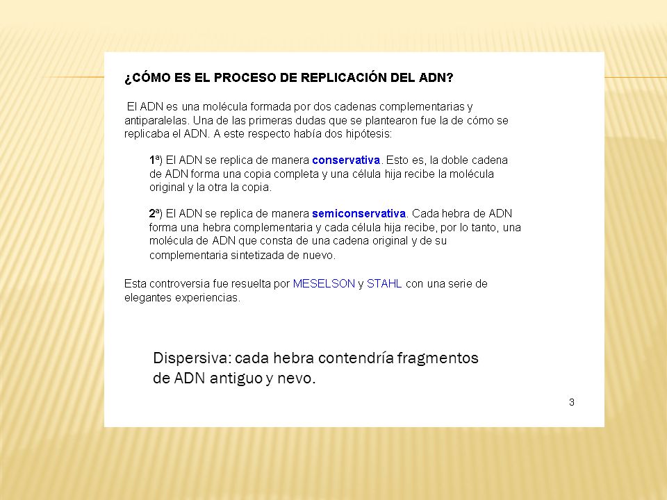 Dispersiva: cada hebra contendría fragmentos de ADN antiguo y nevo.