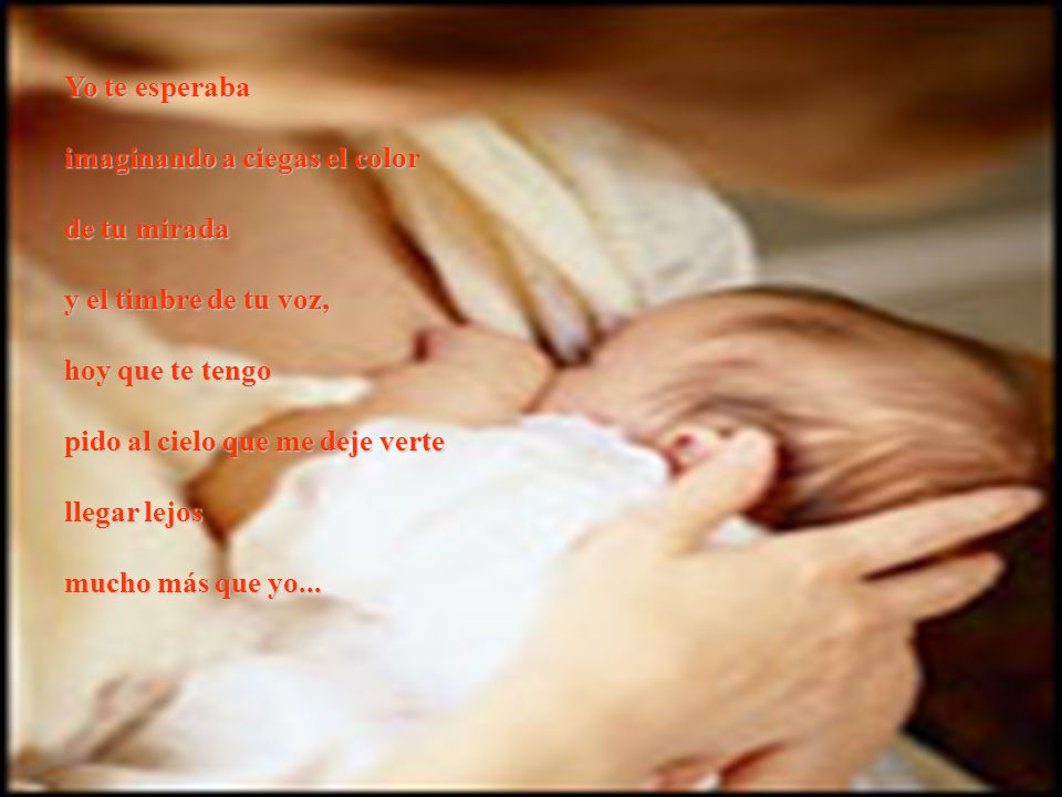 Yo te esperaba imaginando a ciegas el color. de tu mirada. y el timbre de tu voz, hoy que te tengo.