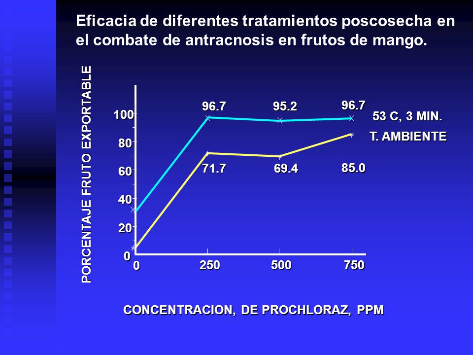 Eficacia de diferentes tratamientos poscosecha en el combate de antracnosis en frutos de mango.