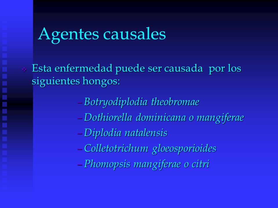 Agentes causales Esta enfermedad puede ser causada por los siguientes hongos: Botryodiplodia theobromae.