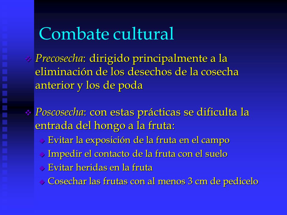 Combate cultural Precosecha: dirigido principalmente a la eliminación de los desechos de la cosecha anterior y los de poda.