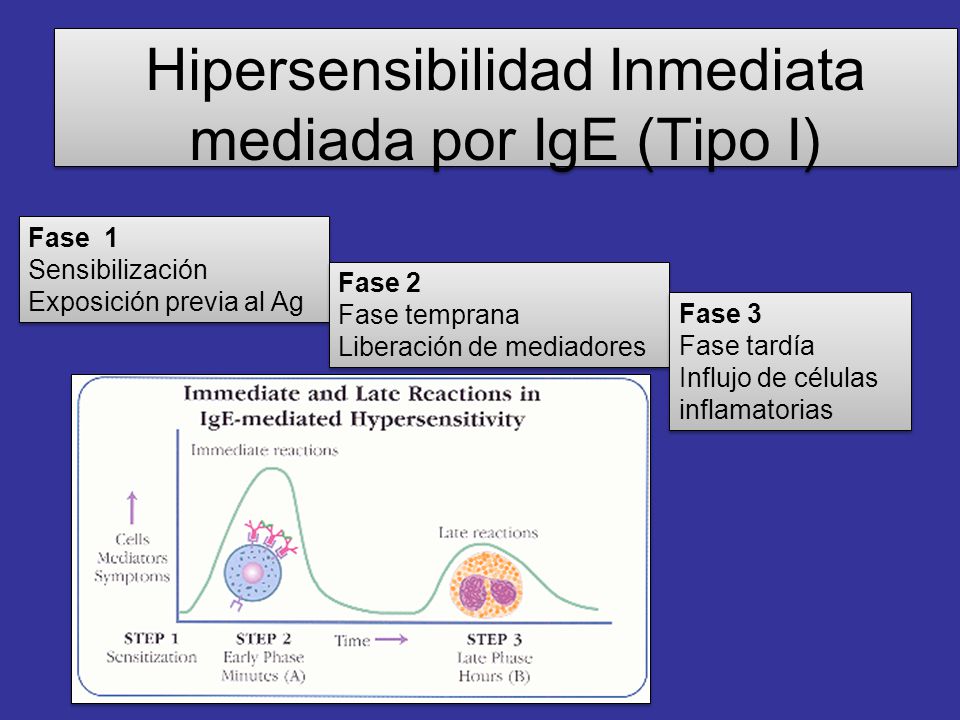 Hipersensibilidad Inmediata mediada por IgE (Tipo I)