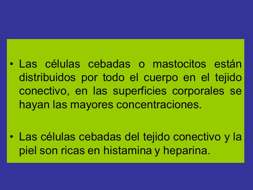 Las células cebadas o mastocitos están distribuidos por todo el cuerpo en el tejido conectivo, en las superficies corporales se hayan las mayores concentraciones.