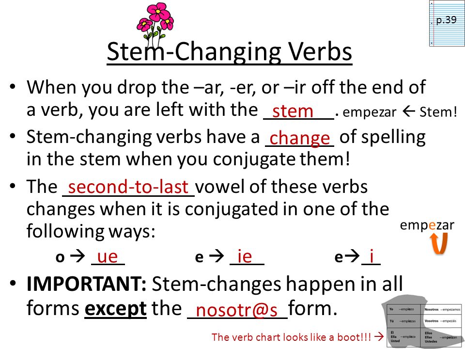 p.39 Stem-Changing Verbs. When you drop the –ar, -er, or –ir off the end of a verb, you are left with the .