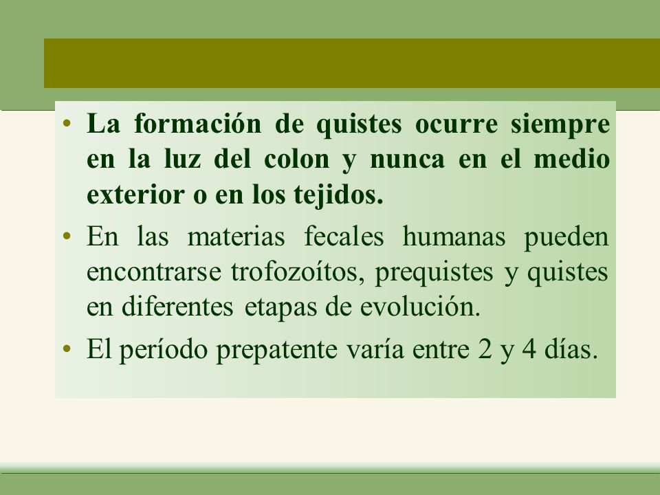 La formación de quistes ocurre siempre en la luz del colon y nunca en el medio exterior o en los tejidos.