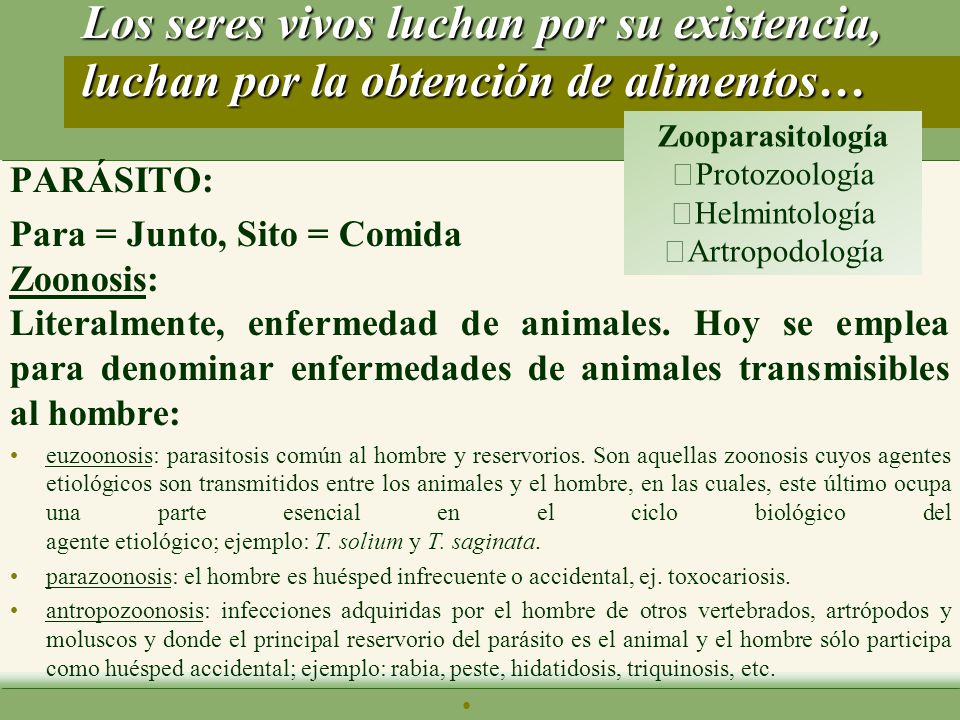 Los seres vivos luchan por su existencia, luchan por la obtención de alimentos…