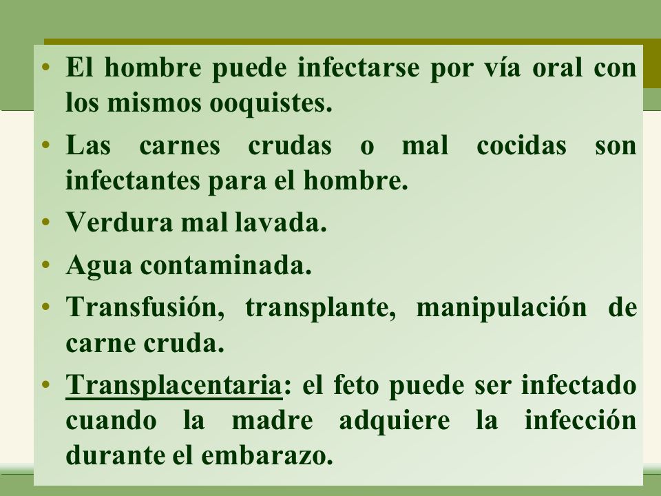 El hombre puede infectarse por vía oral con los mismos ooquistes.