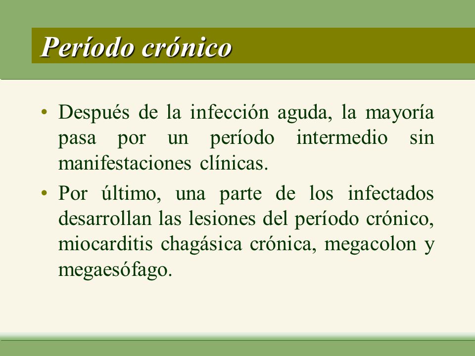 Período crónico Después de la infección aguda, la mayoría pasa por un período intermedio sin manifestaciones clínicas.