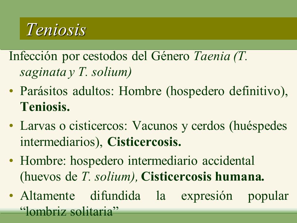 Teniosis Infección por cestodos del Género Taenia (T. saginata y T. solium) Parásitos adultos: Hombre (hospedero definitivo), Teniosis.