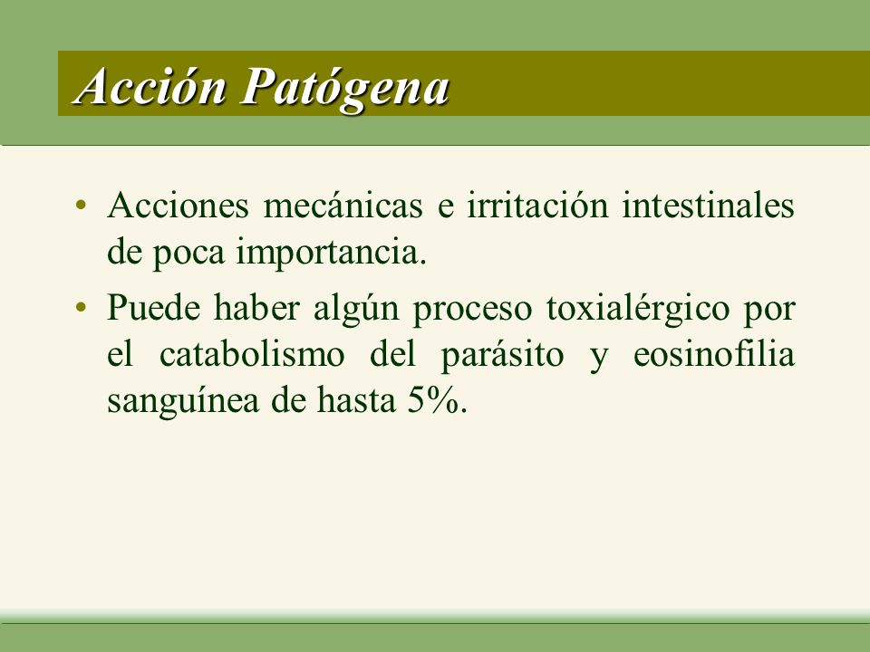 Acción Patógena Acciones mecánicas e irritación intestinales de poca importancia.