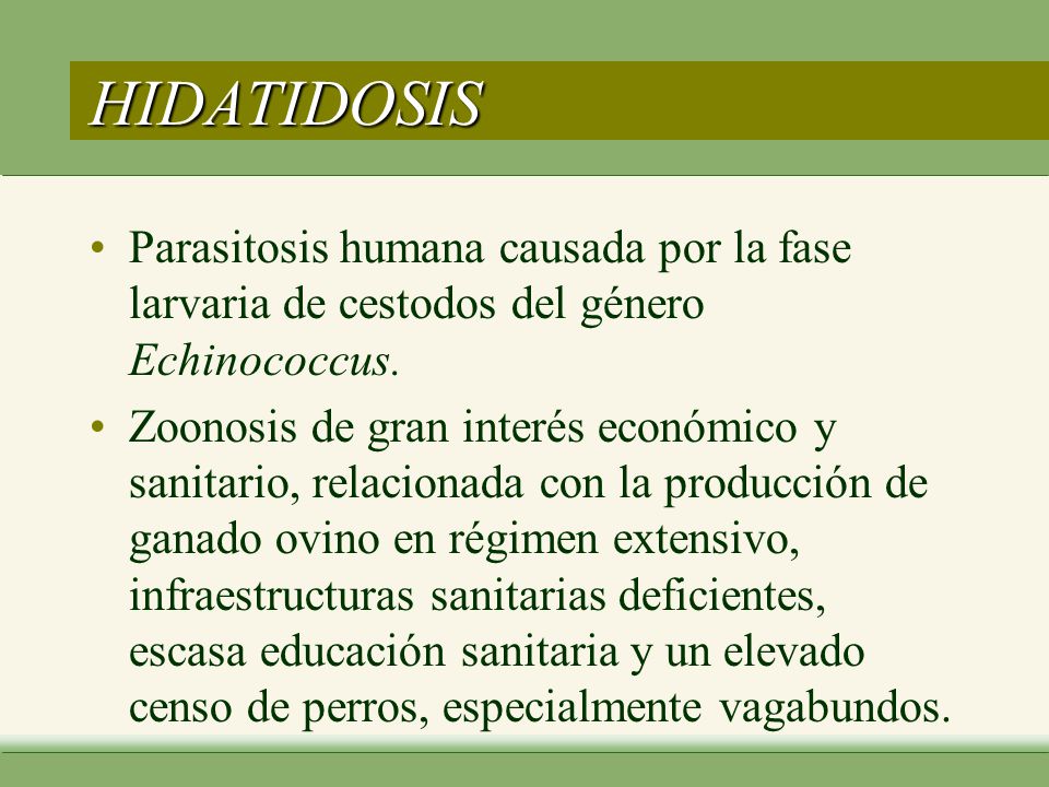HIDATIDOSIS Parasitosis humana causada por la fase larvaria de cestodos del género Echinococcus.