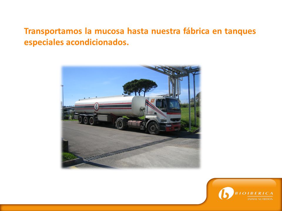 Transportamos la mucosa hasta nuestra fábrica en tanques especiales acondicionados.