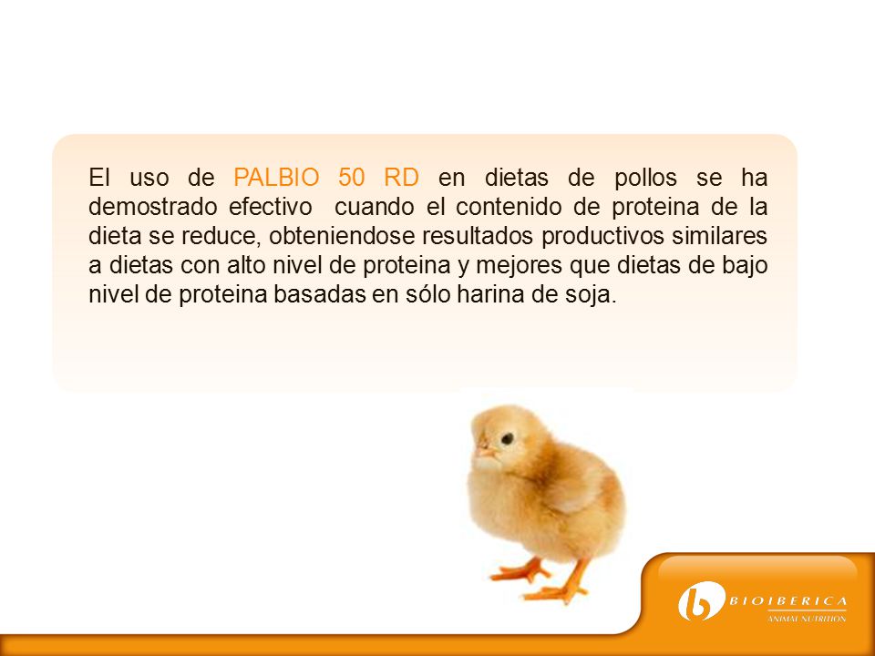 El uso de PALBIO 50 RD en dietas de pollos se ha demostrado efectivo cuando el contenido de proteina de la dieta se reduce, obteniendose resultados productivos similares a dietas con alto nivel de proteina y mejores que dietas de bajo nivel de proteina basadas en sólo harina de soja.