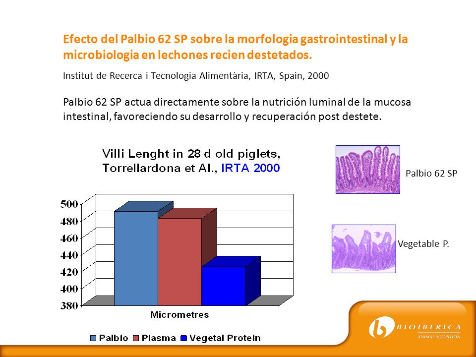 Efecto del Palbio 62 SP sobre la morfologia gastrointestinal y la microbiologia en lechones recien destetados.
