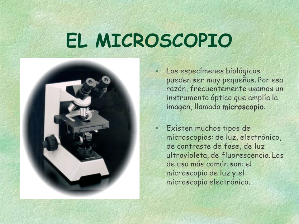 EL MICROSCOPIO Instr. Moraima Castro Faix - ppt video online descargar