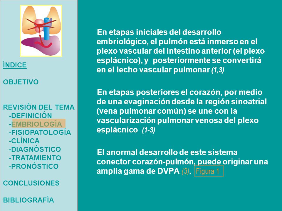 ÍNDICE OBJETIVO. REVISIÓN DEL TEMA. -DEFINICIÓN. -EMBRIOLOGÍA. -FISIOPATOLOGÍA. -CLÍNICA. -DIAGNÓSTICO.