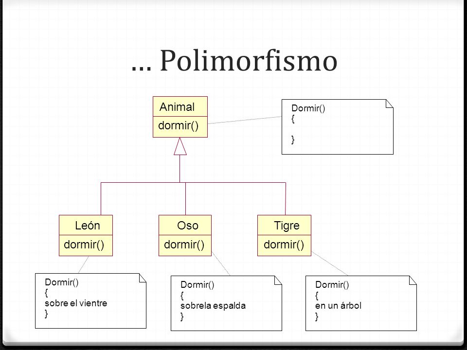 … Polimorfismo Animal dormir() León Oso Tigre dormir() dormir()