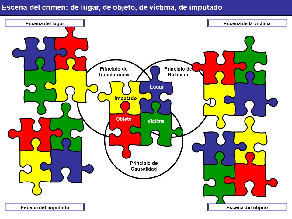 Escena del crimen: de lugar, de objeto, de víctima, de imputado