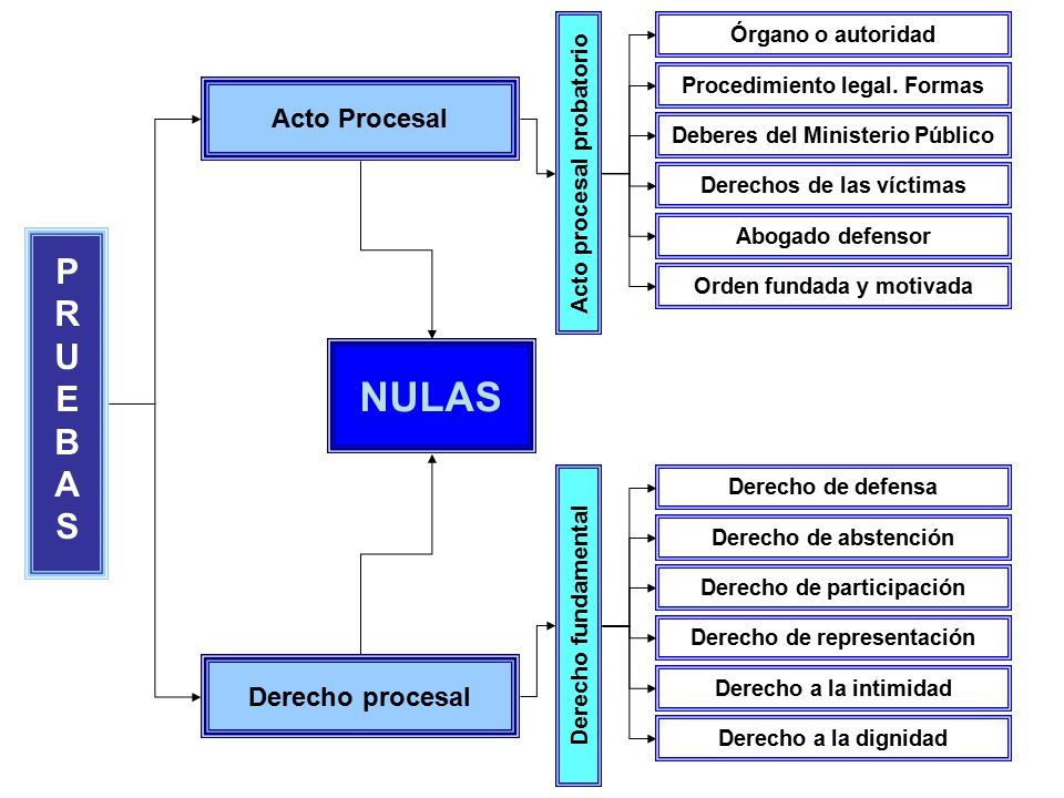 NULAS P R U E B A S Acto Procesal Derecho procesal