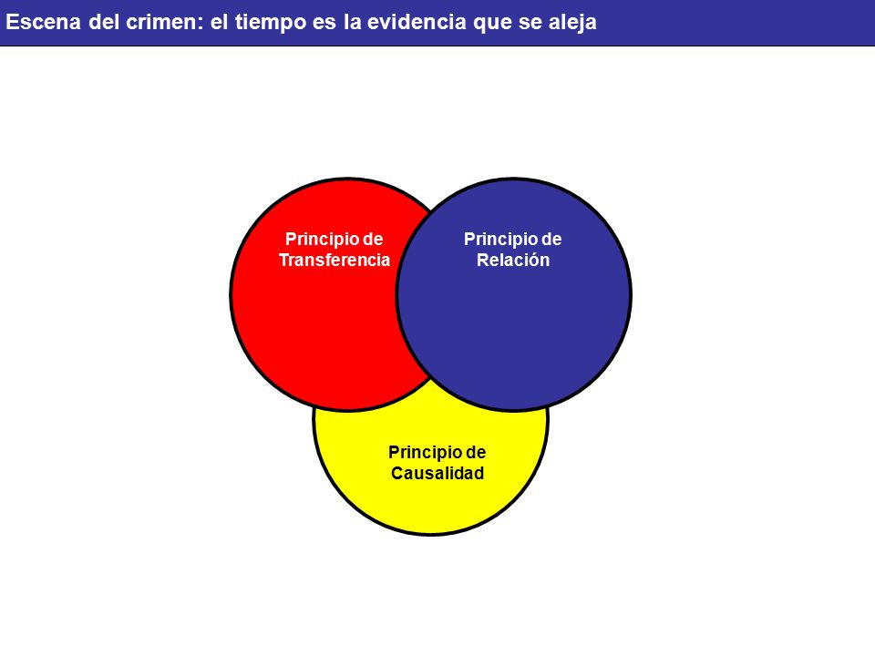 Escena del crimen: el tiempo es la evidencia que se aleja