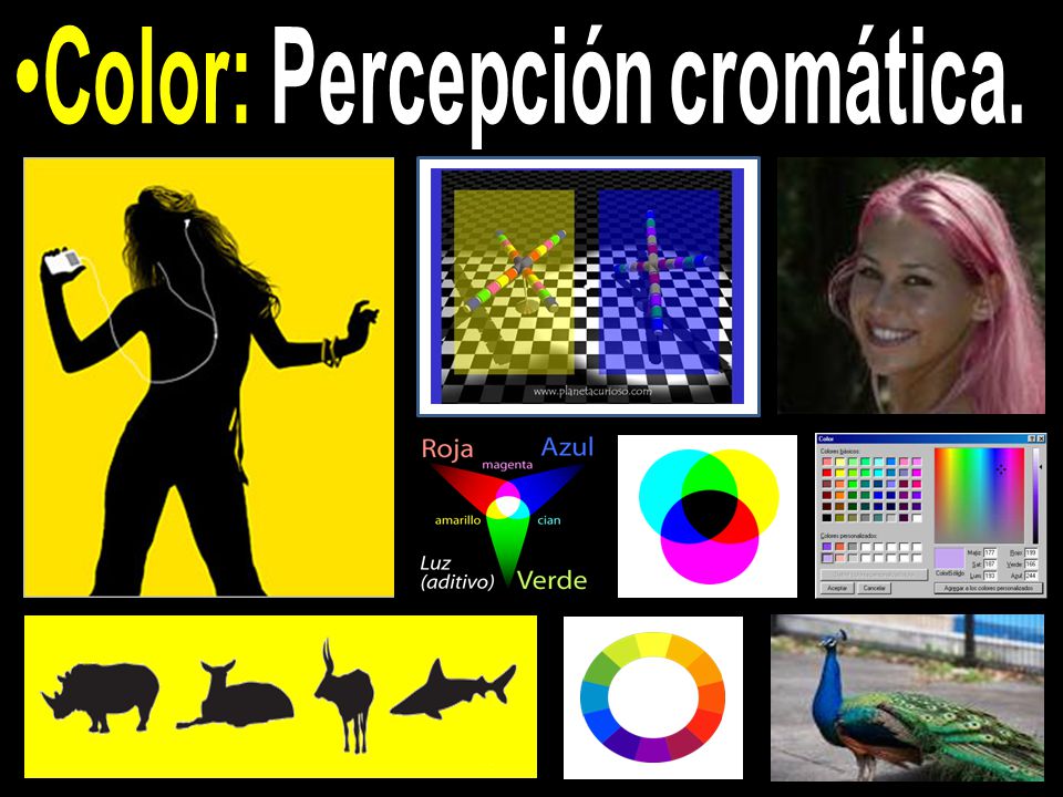 Color: Percepción cromática.