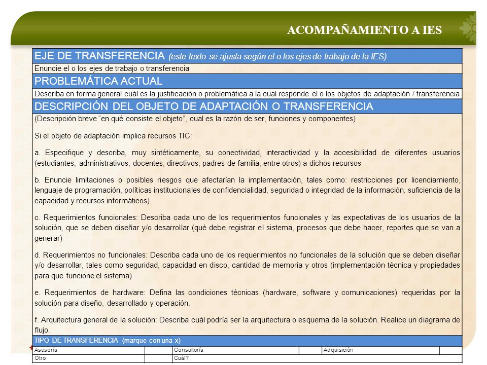 ACOMPAÑAMIENTO A IES EJE DE TRANSFERENCIA (este texto se ajusta según el o los ejes de trabajo de la IES)