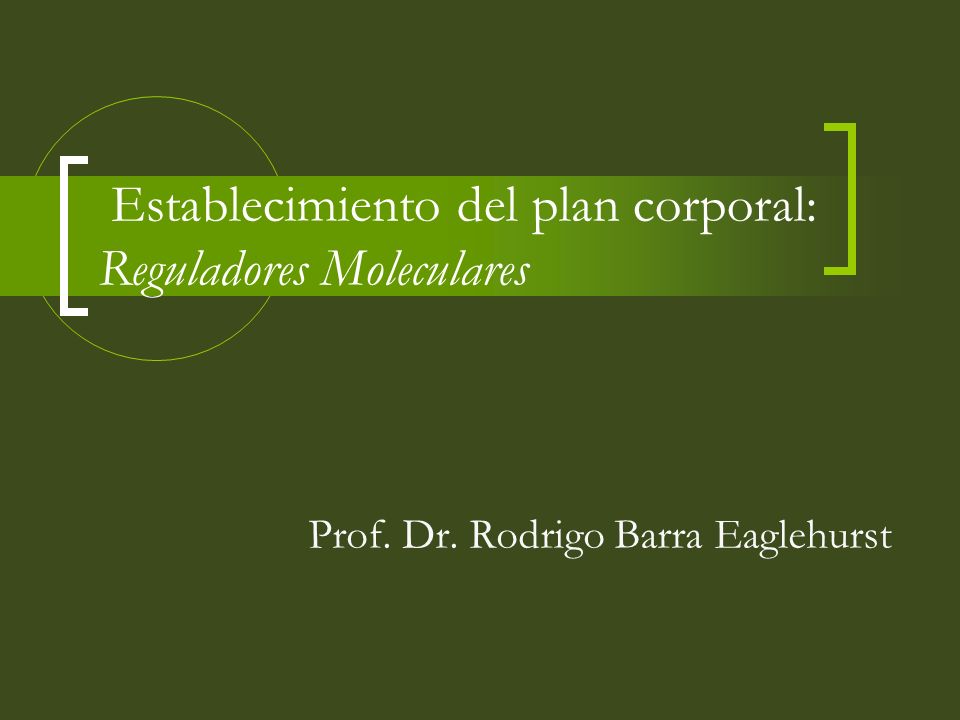 Establecimiento del plan corporal: Reguladores Moleculares