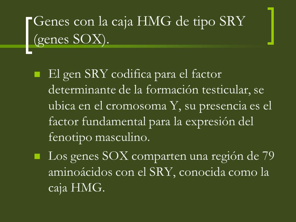 Genes con la caja HMG de tipo SRY (genes SOX).