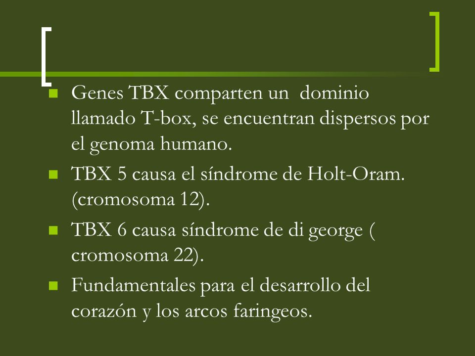 Genes TBX comparten un dominio llamado T-box, se encuentran dispersos por el genoma humano.